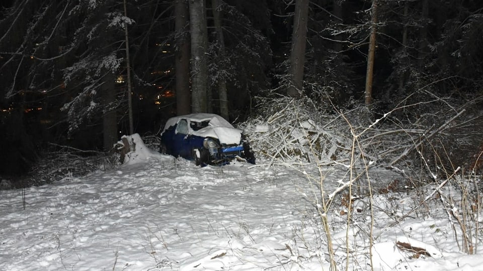 Auto donnegià a l'ru dal guaud. 