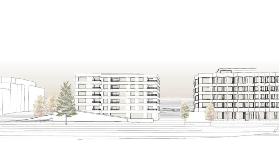 Visualisaziun dal project