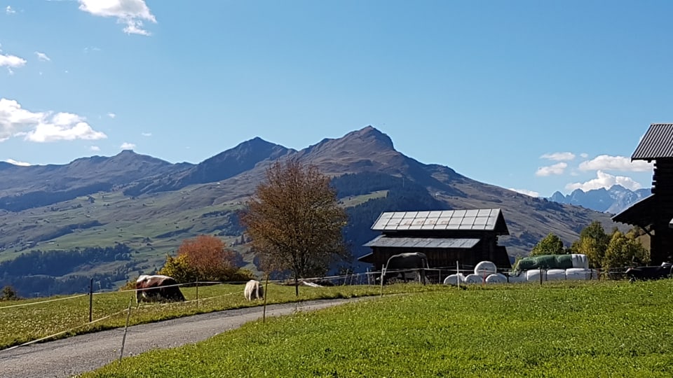 panorama da Riein envers il Piz Mundaun, tschiel blau e pastg verd