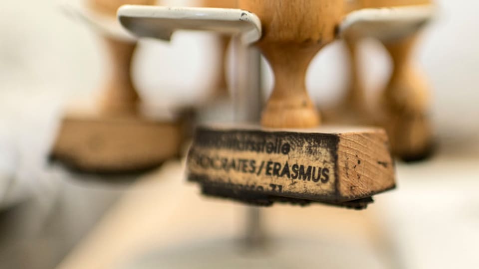 Bul dal Erasmus