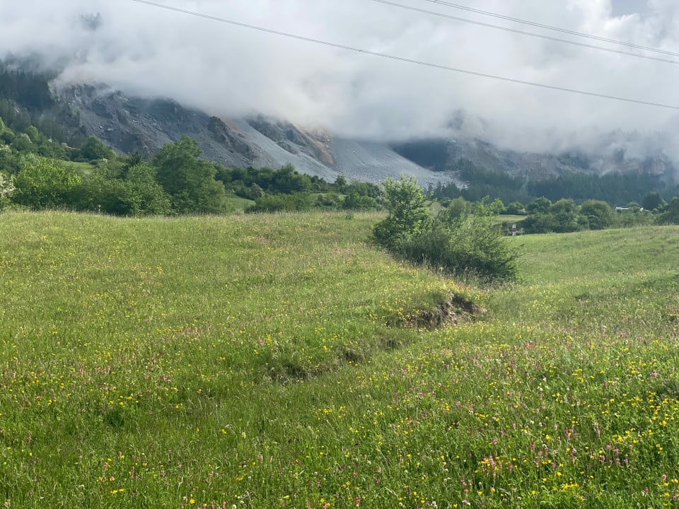 Vista vers il «Rutsch» da Brinzauls ed ils donns en il prà.