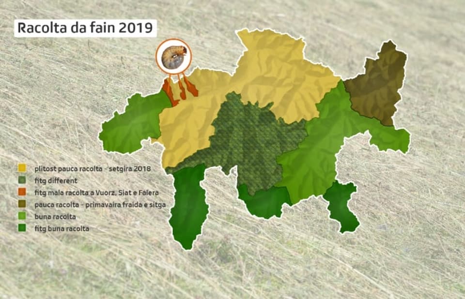 Grafica che mussa la racolta da fain tenor regiun