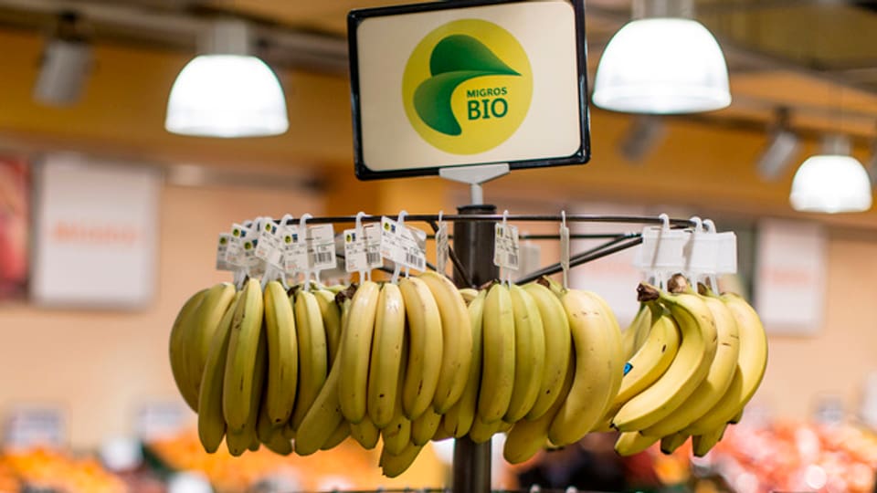 Bananas.