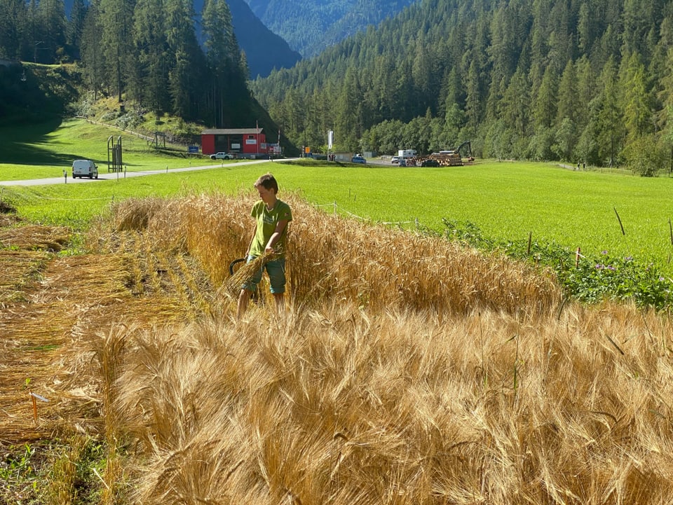 Il graun Alpetta ch'ha il num d'ina muntogna Engiadinaisa, è da vasair qua en la part sut da la fotografia.