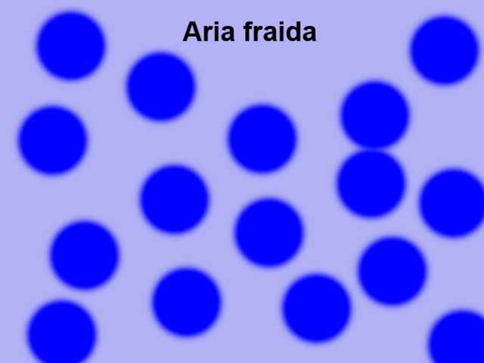 Aria fraida