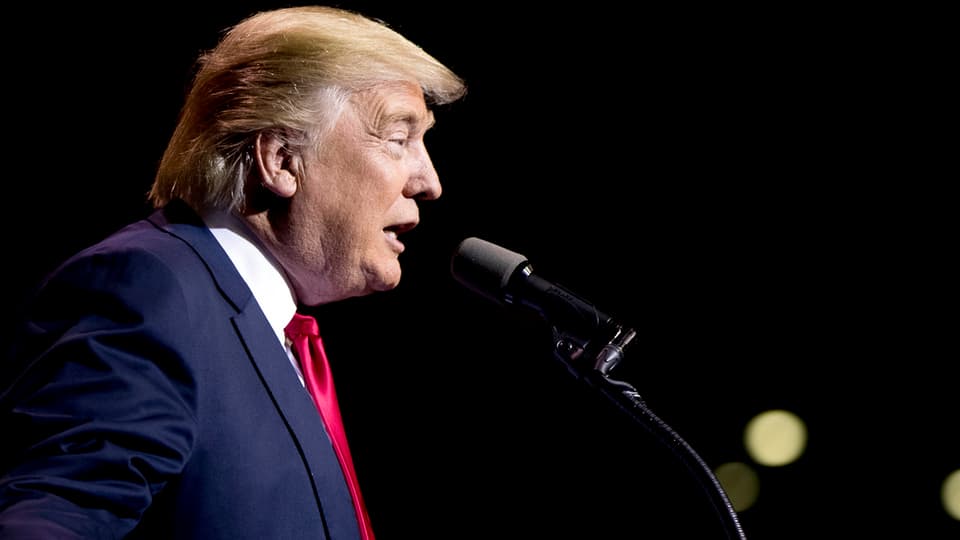 Purtret da Donald Trump.