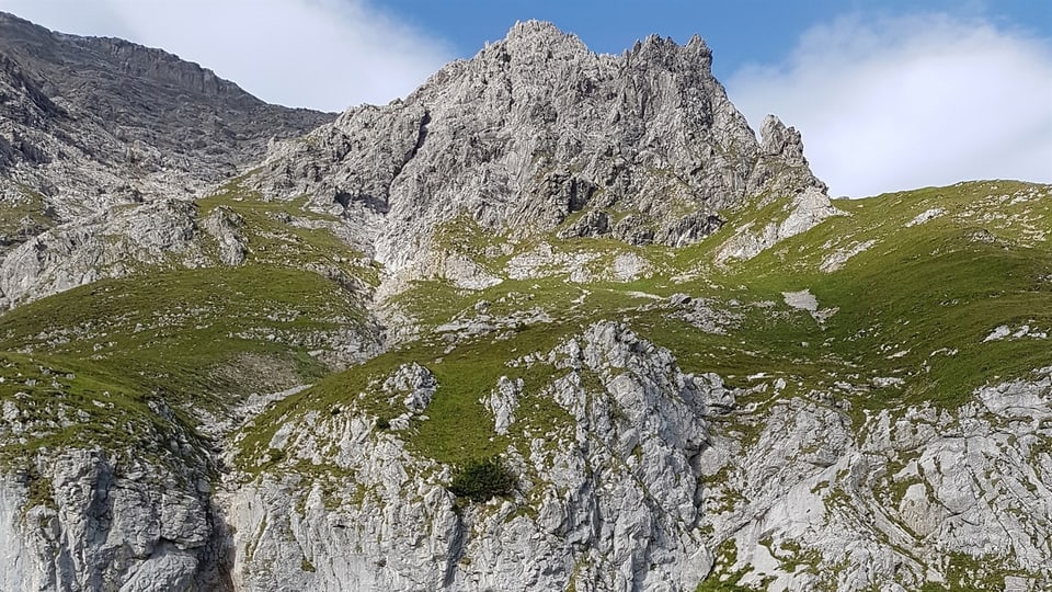 Ina cuntrada alpina.