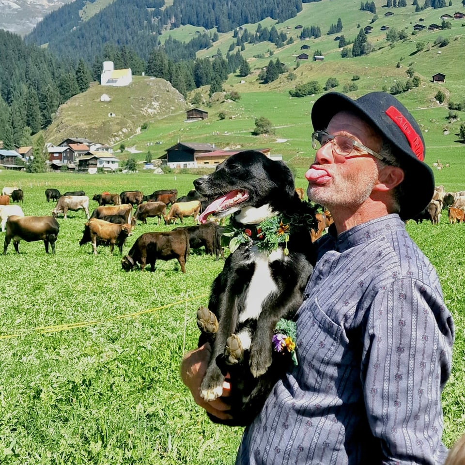 Hund mit Mann und Kühe auf der Weide 