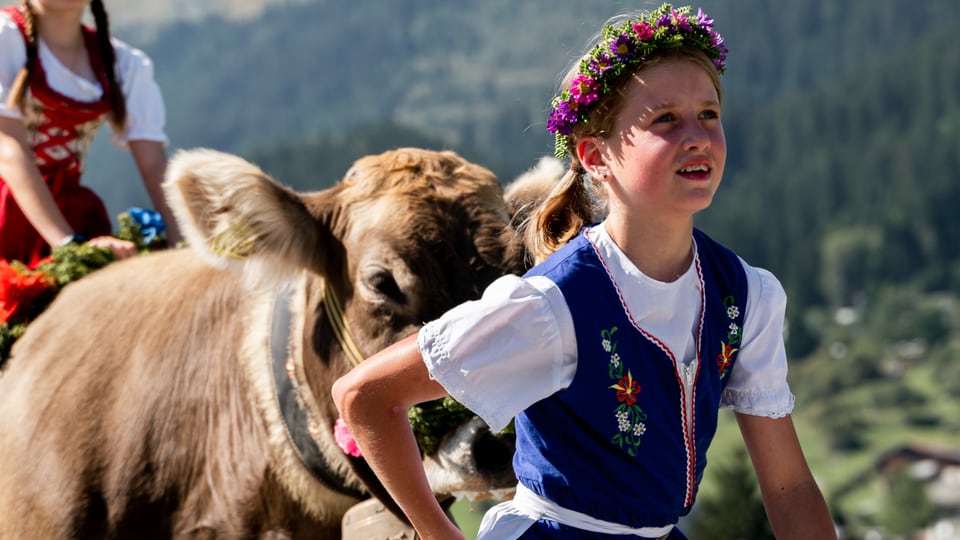 Mädchen mit Blumenkranz und Kuh am Alpabzug Brigels