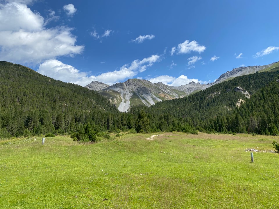 Stabelchod im Nationalparc