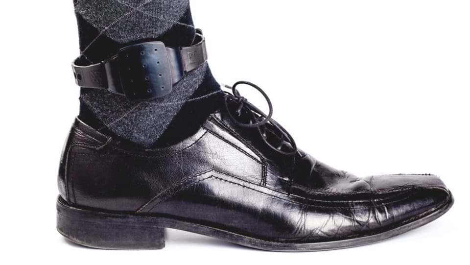 Electronic Monitoring (EM)