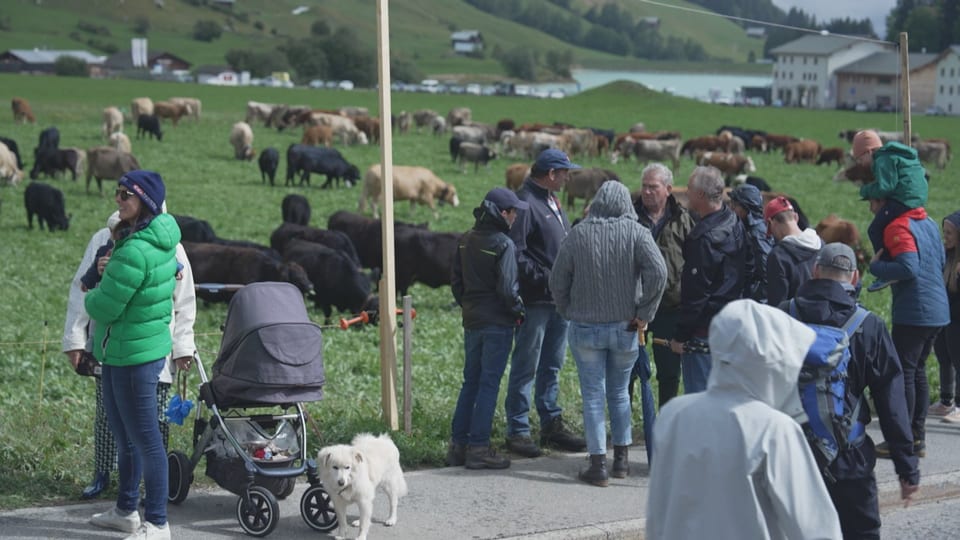 La populaziun è vegnida en stedi a mirar la stgargiada a Breil. 