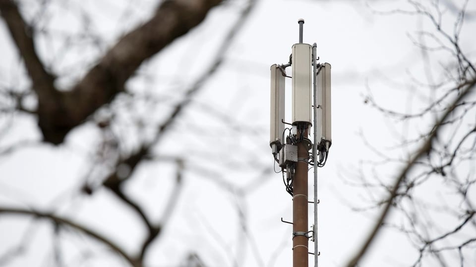 antenna da telefonin