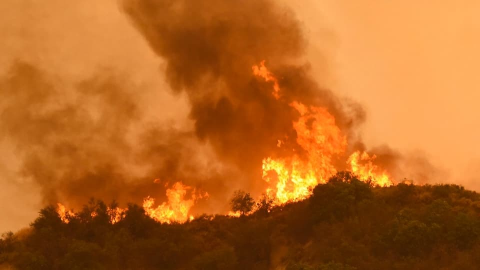 Incendi da frustgaglia e guaud, flommas autas.