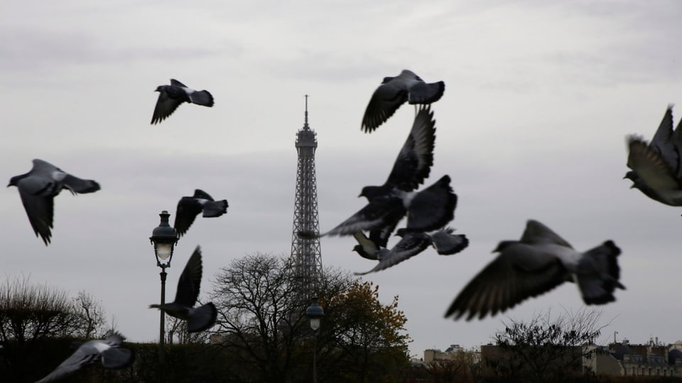 In grisch di per Paris.