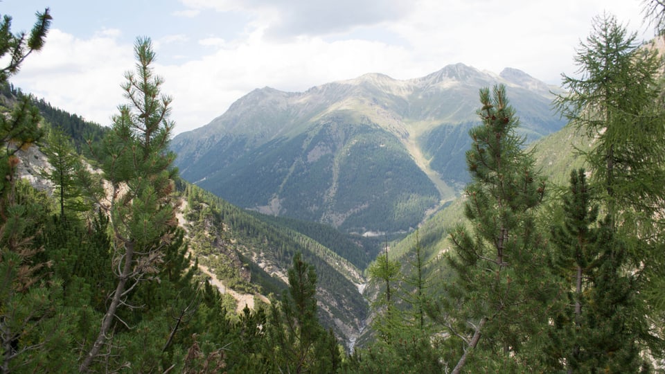 Vista da la Val Cluozza ora.