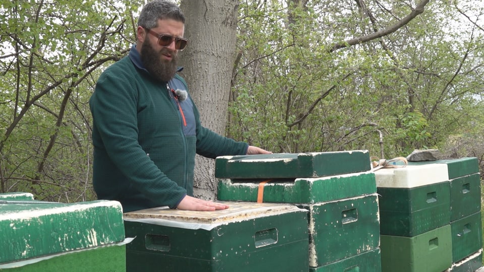 Ein Mann steht vor Bienenkästen. 