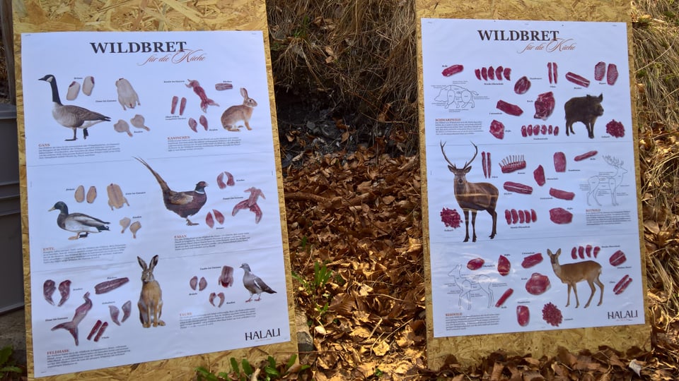 Poster cun divers animals, avant e suenter ch'in chatschader vesa el.
