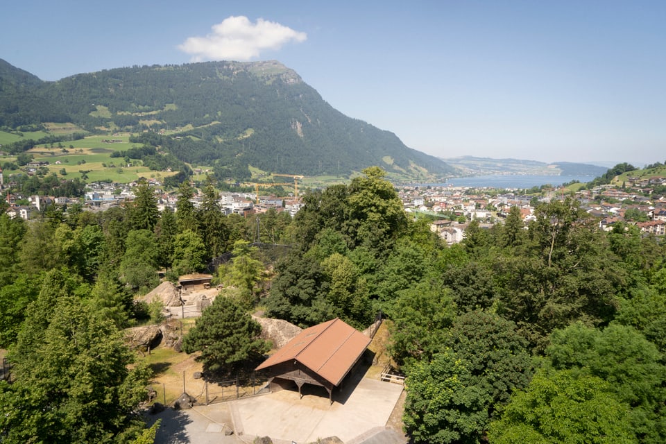 La vista sin il lai da Zug