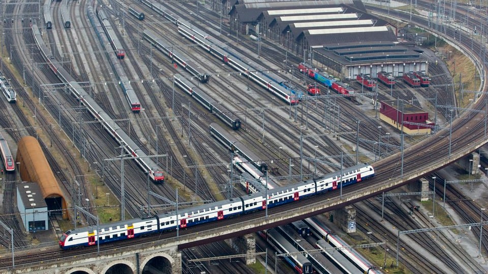 binaris tren