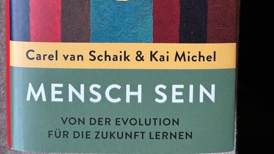 Foto vom Buchtitel «Mensch sein» – von der Evolution für die Zukunft lernen
