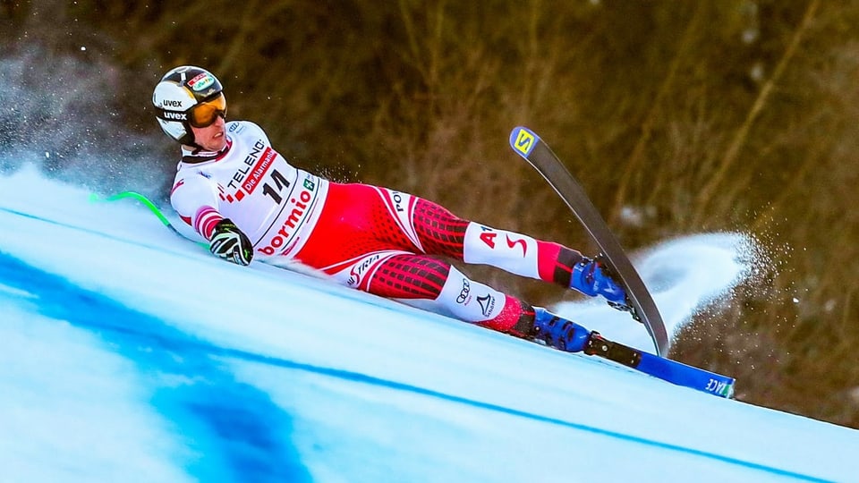Reichelt rocla.