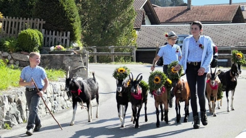 Reportascha da la stgargiada d'alp a Claustra