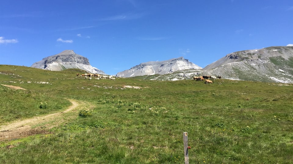 Il territori da viandar tranter l'Alp Nagens e Grauberg sur Laax.