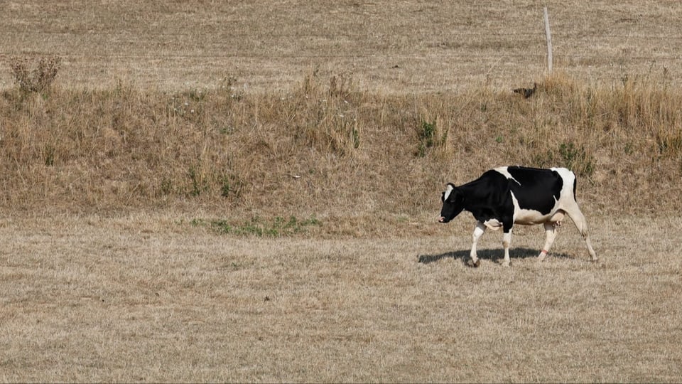 Questa stad en Frantscha, ina sitgira ferma