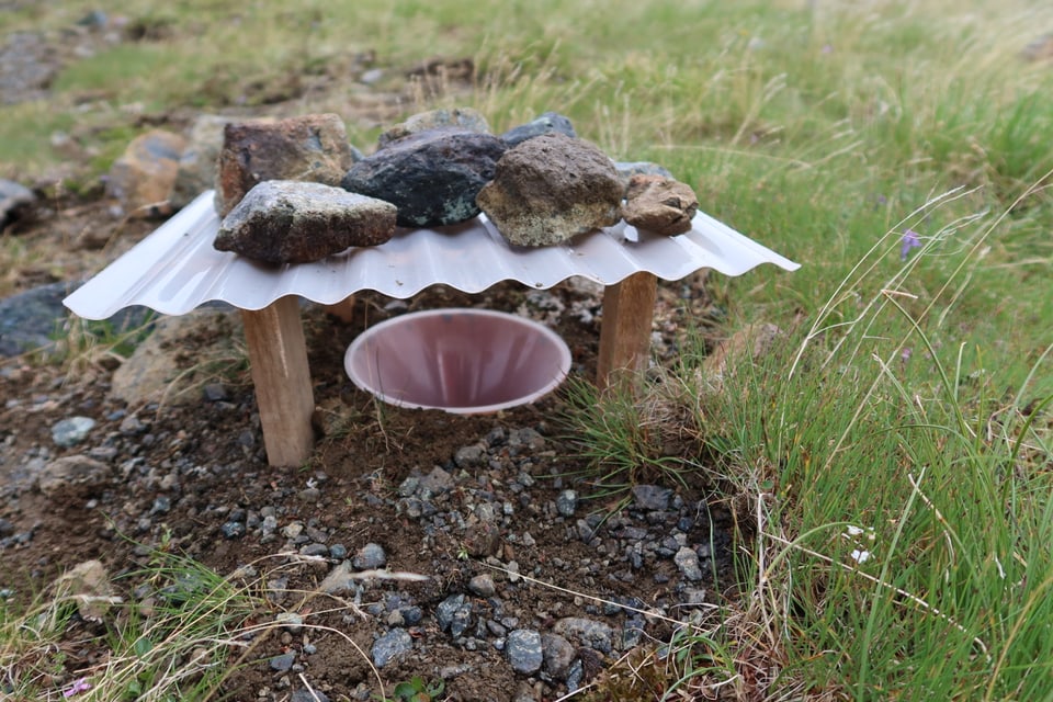 Mit dieser Falle werden am Boden lebende Insekten gefangen.