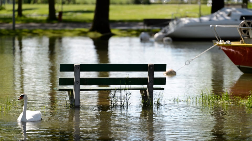 banc en l'aua