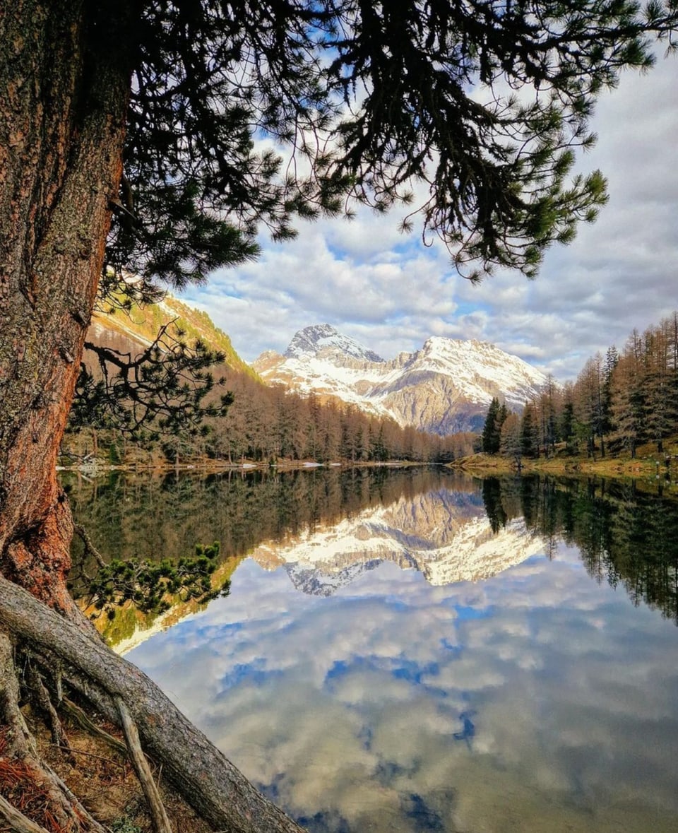Bunura al Lai da Palpuogna Seespiegelung in den Bergen