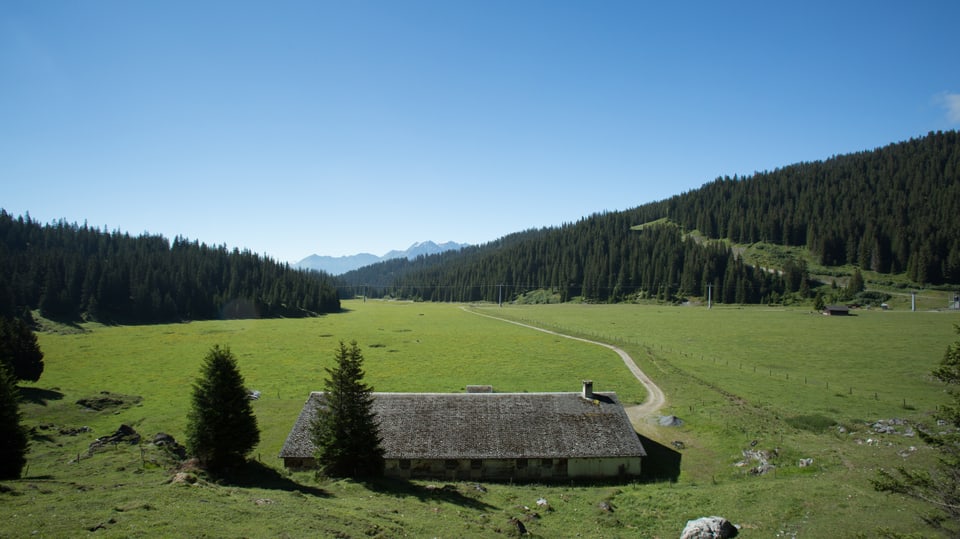 planira cun davant in clavà