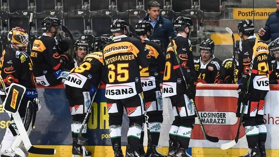 Hockeyans.