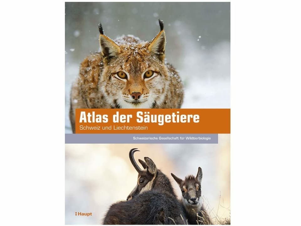 Cuverta dal cudesch «Atlas der Säugetiere der Schweiz und Liechtenstein».