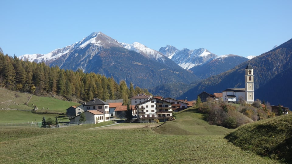 Il vitg da Brinzauls fa part a la vischnanca d'Albula/Alvra. 