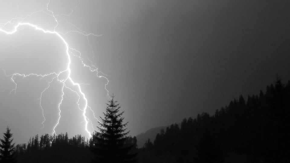 Fotografia d'in urizi.