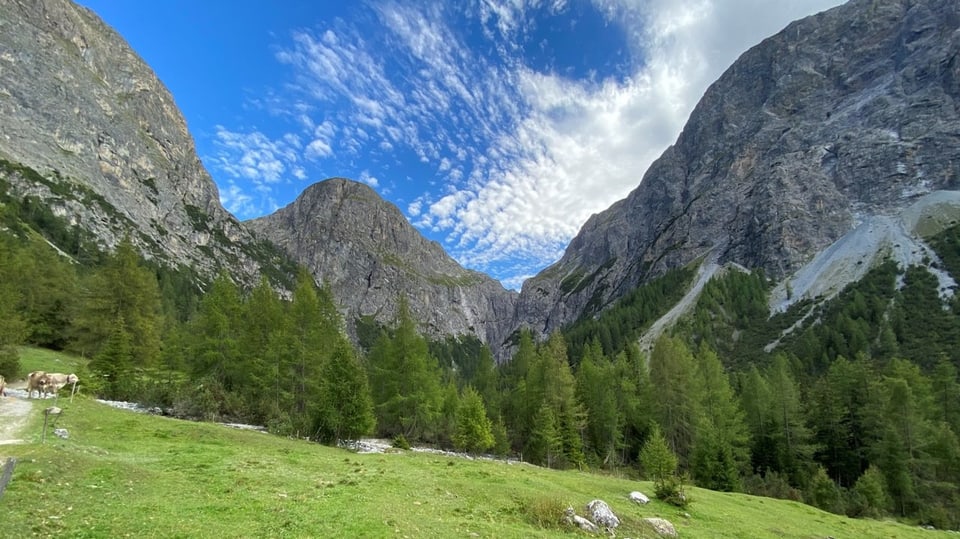 Berglandschaft