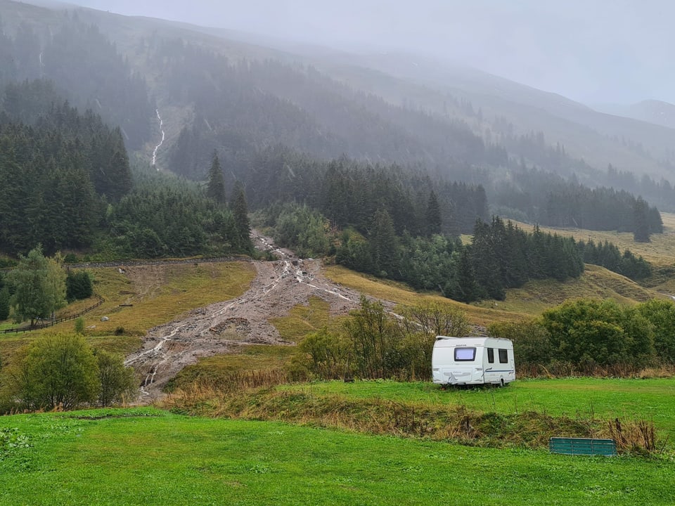 Bova visavi il campadi da Rueras (Val Vallatsch).