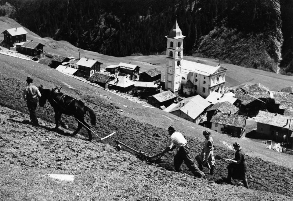 Arar sin l'er da tartuffels a Vrin enturn l'onn 1970.