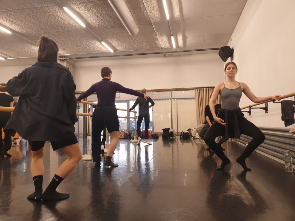 Berufstänzerin: Ballet