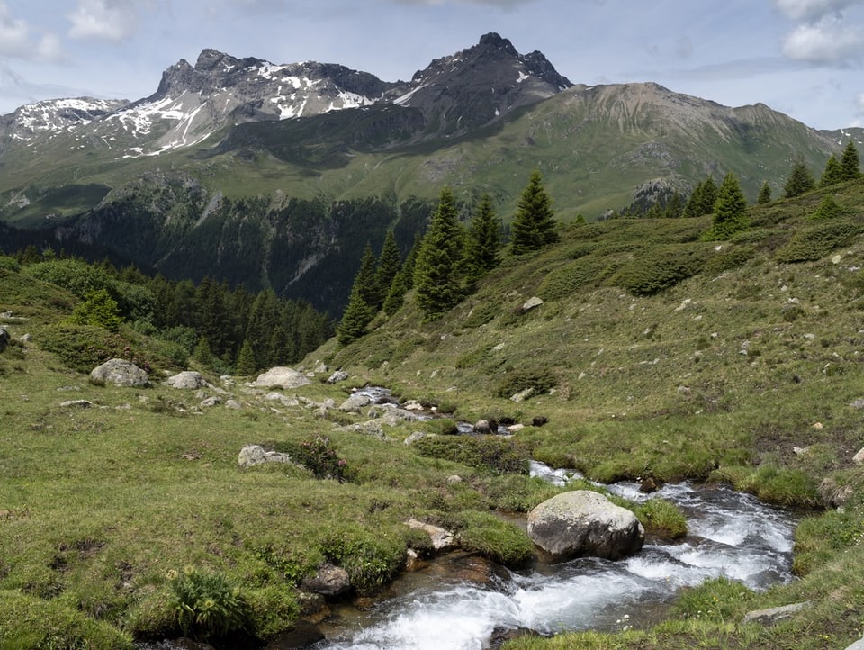 Biodiversität