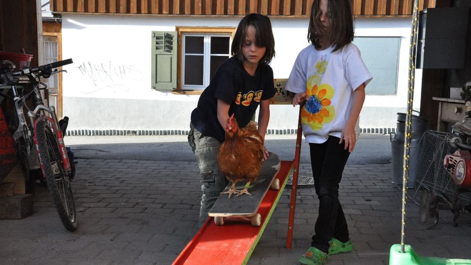 Giaglina che va cul skateboad a l'Agrischa