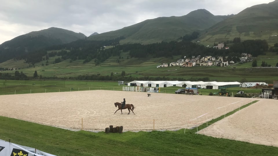 Plazza Concours hippique Zuoz.