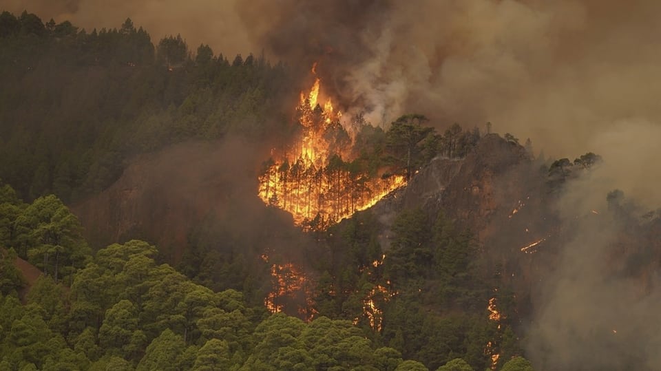 Waldbrand auf Teneriffa 2023