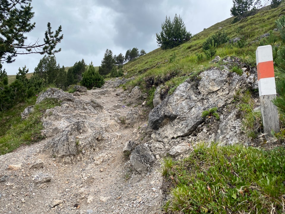 Ein Wanderpfad
