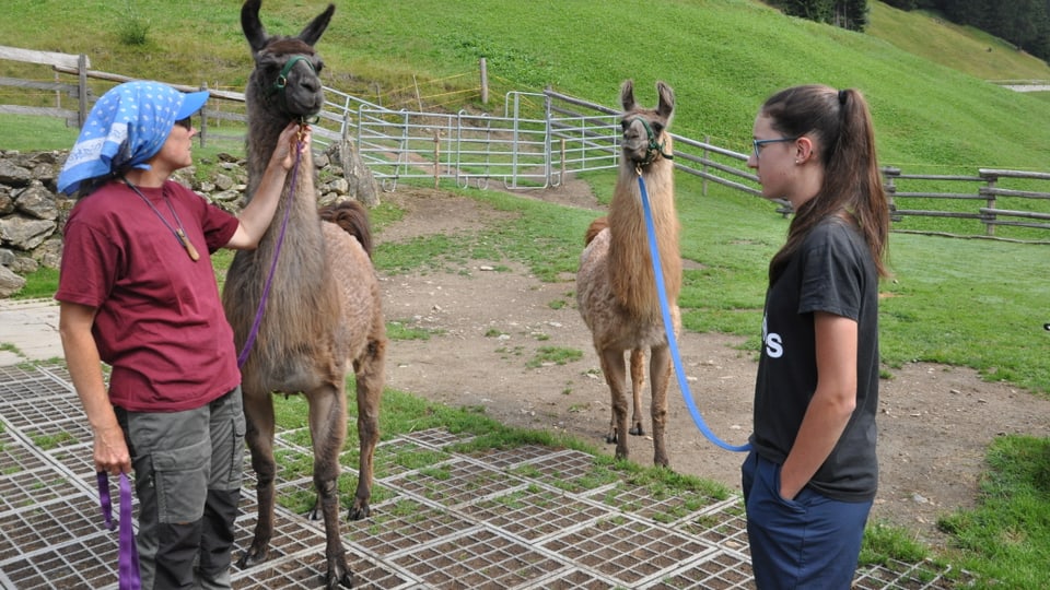 Dus lamas sin la pastgira vid' ina corda.