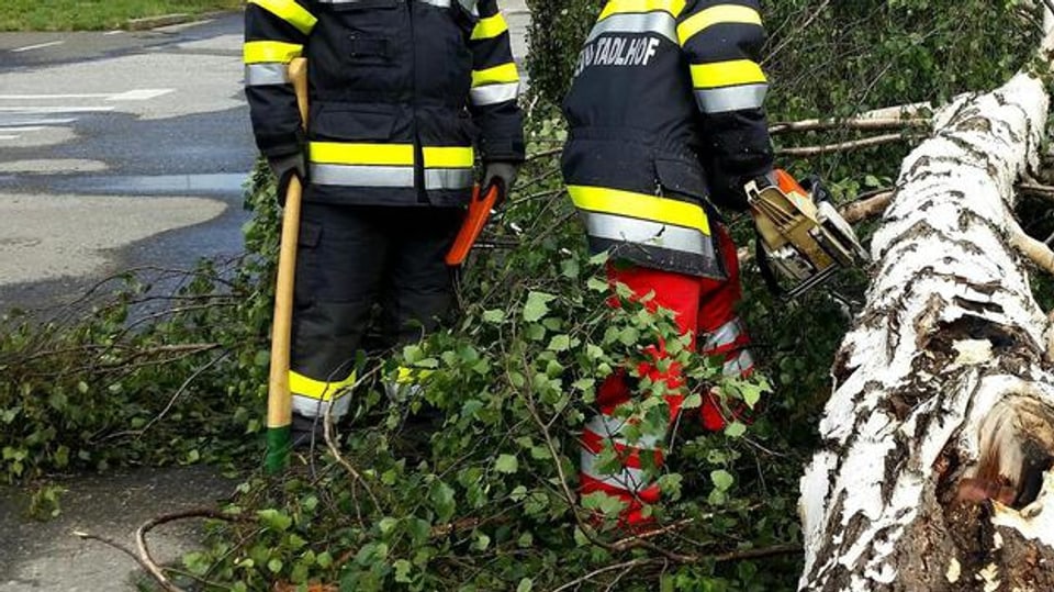 Problems hai surtut dà cun tschalers inundads e pervia da plantas derschidas.