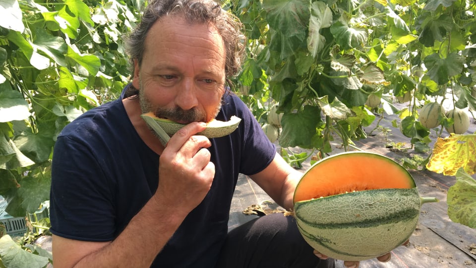 Marcel Foffa vid magliar melona. 