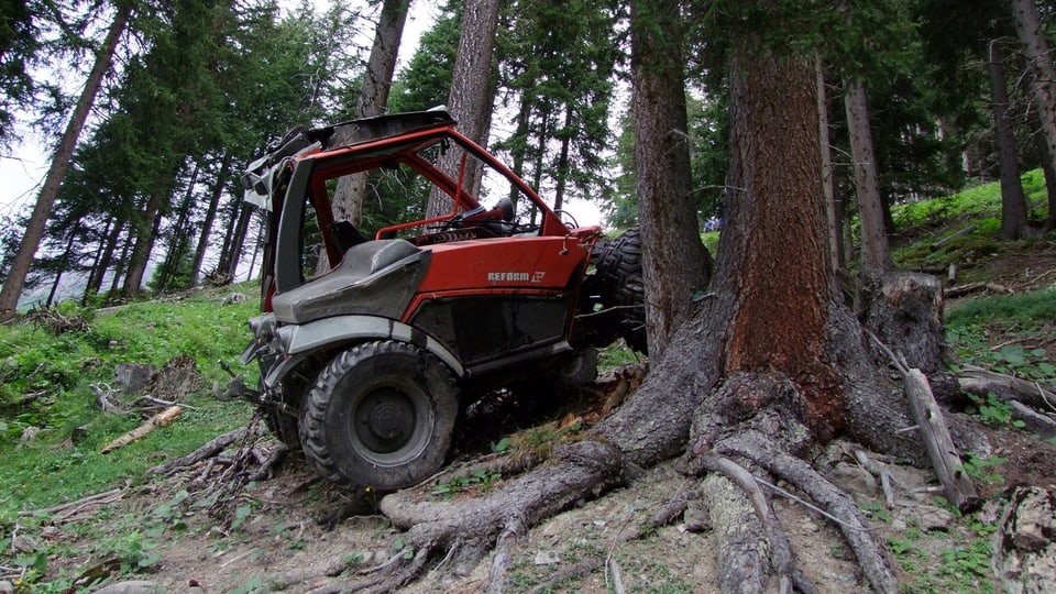 Il vehichel che ha gì l'accident entamez las plantas.
